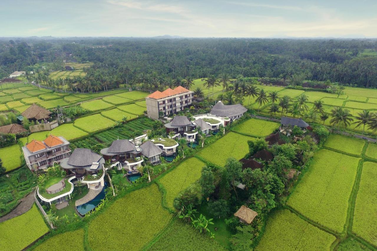 Mango Ubud Zewnętrze zdjęcie