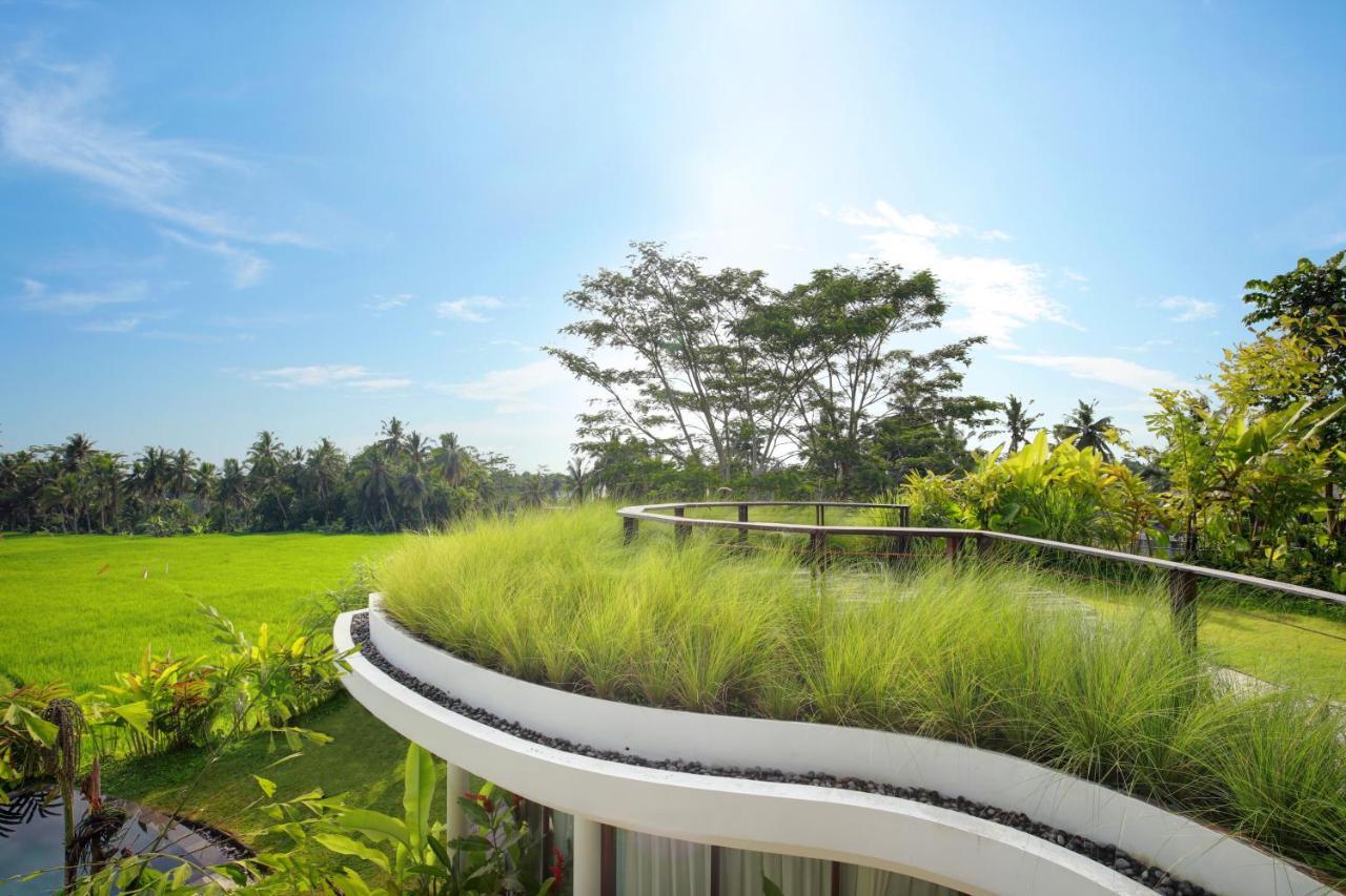 Mango Ubud Zewnętrze zdjęcie